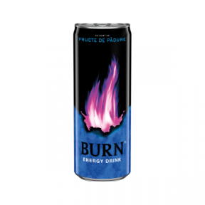 ENERGIZANT BURN FRUIT PUNCH 0.25 L