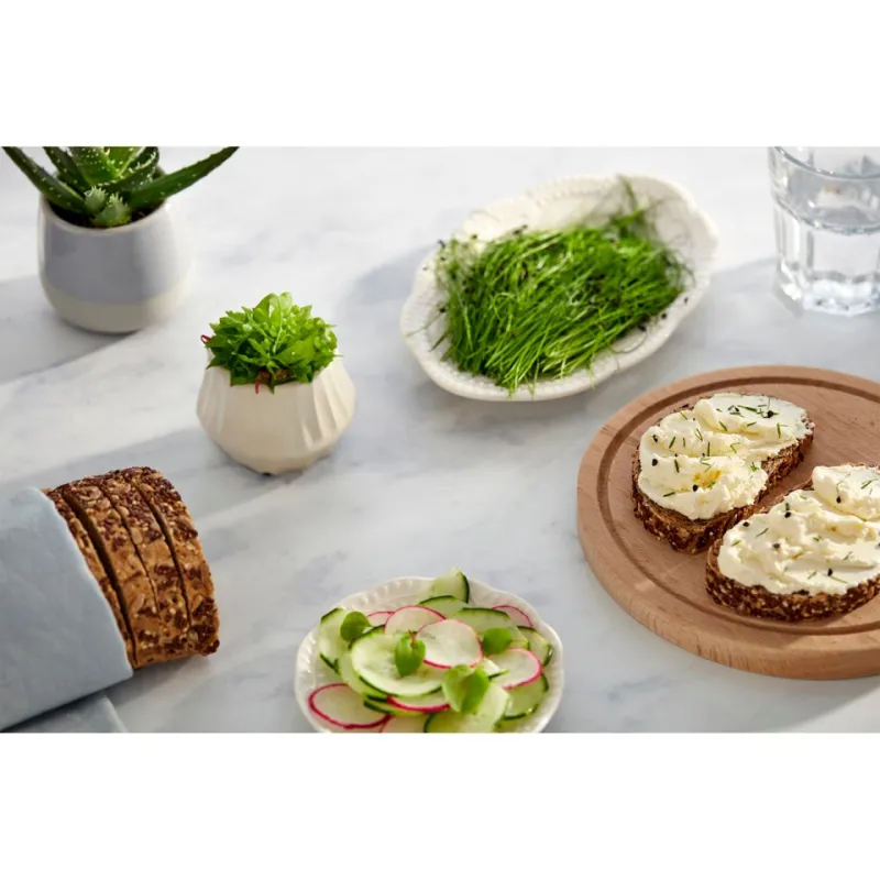 BRANZA PROASPATA DELACO 0.2% 250G