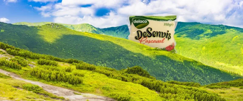 CASCAVAL DESENDVIS DELACO 350GR