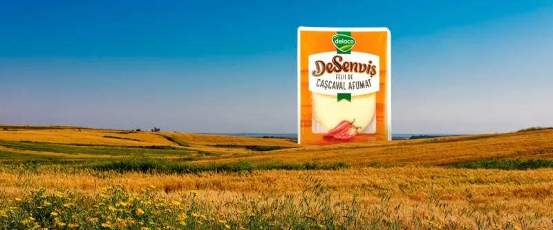 CASCAVAL DESENVIS DELACO 100GR