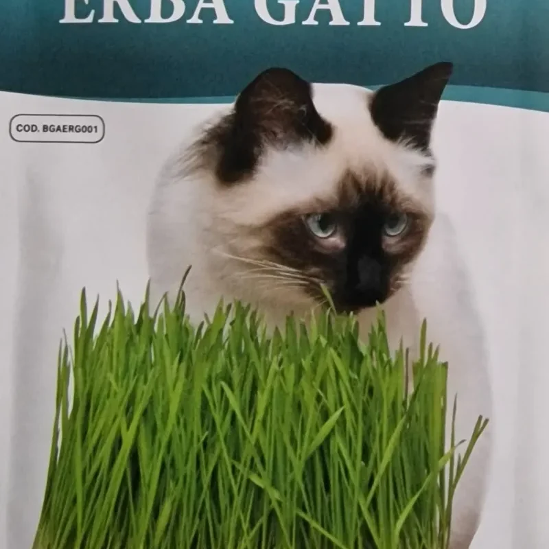 DREAMIES IARBA PISICII 60G