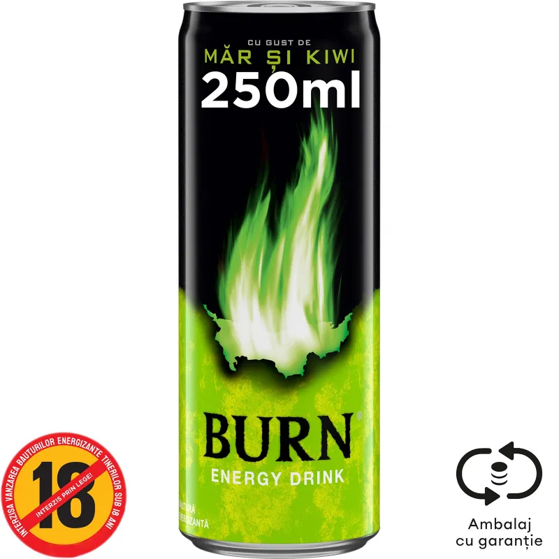 ENERGIZANT BURN CU GUST.DE MAR KIWI DZ 0.25L SGR