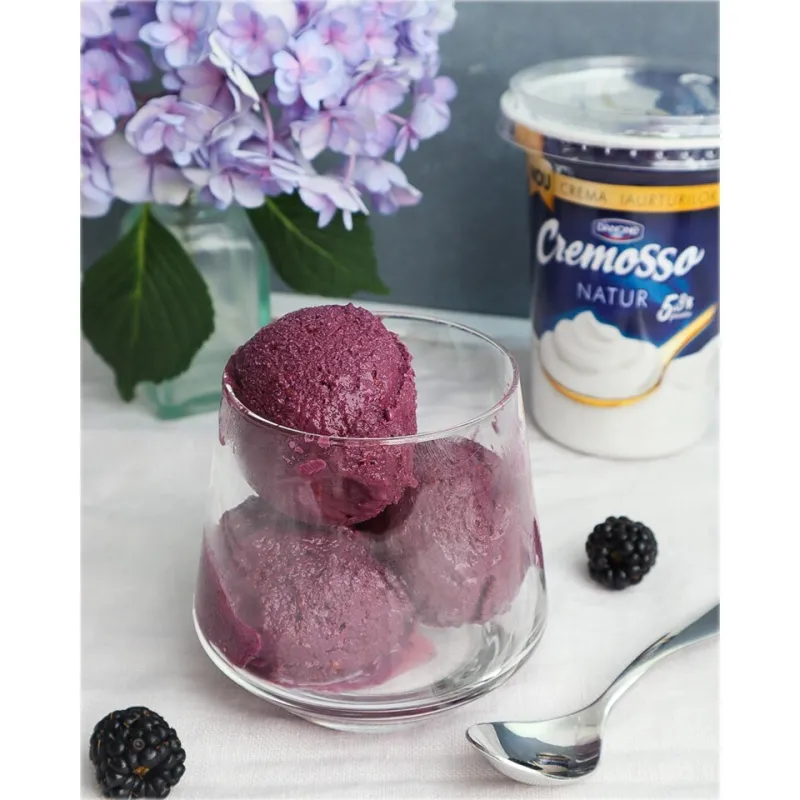 IAURT CREMOSSO NATUR DANONE 125G