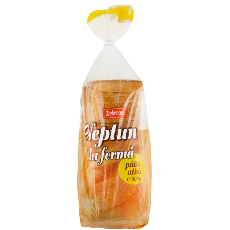 PAINE INTEG NEPTUN FORMA 500G