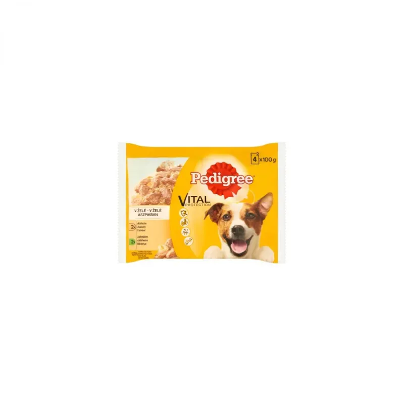 PEDIGREE MIEL ADULT PLIC 100G