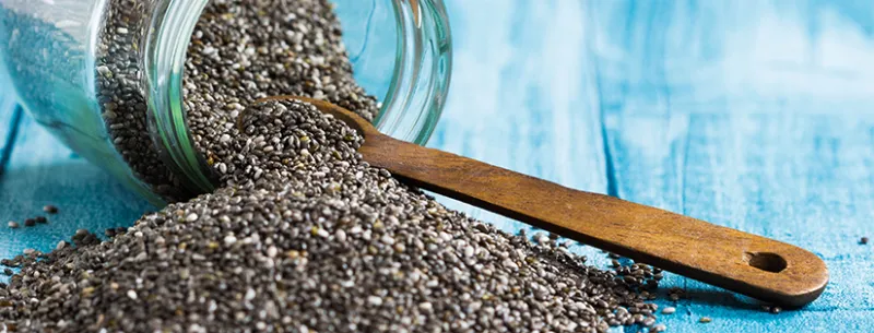 SEMINTE DE IN SANOVITA 200G