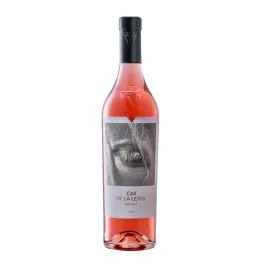 VIN SARICA CAII DE LA LETEA VOL.2 ROSE 0.75L SGR