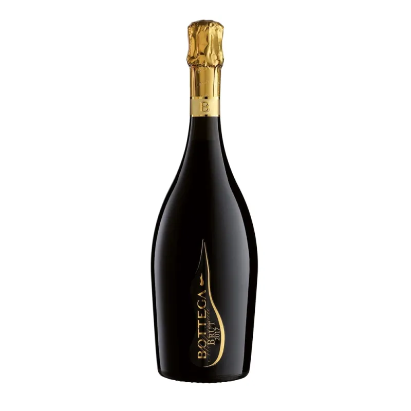 VIN SPUMANT BOTTEGA MILLESIMATO BRUT 0.75L SGR
