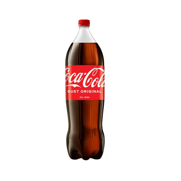 COCA COLA 1L SGR