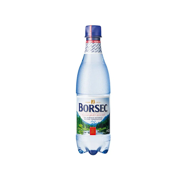 APA MINERALA BORSEC 0.5L SGR