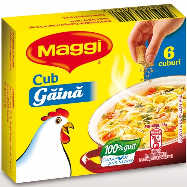 CONCENTRAT MAGGI GAINA 60G