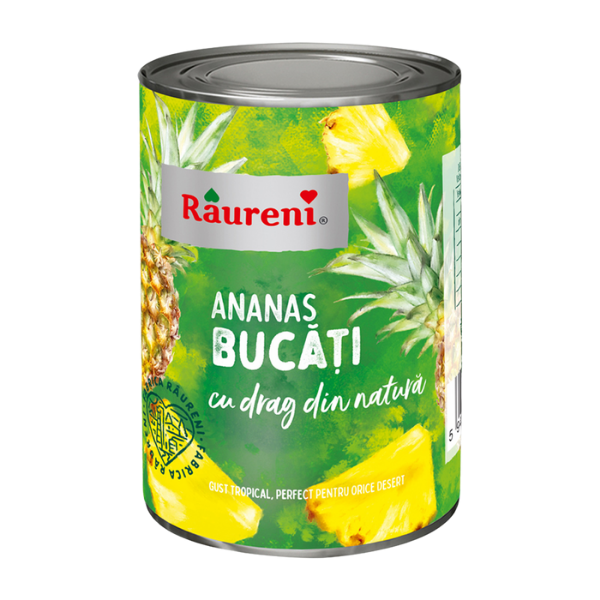 COMPOT ANANAS BUCATI IN SIROP 567G RAURENI