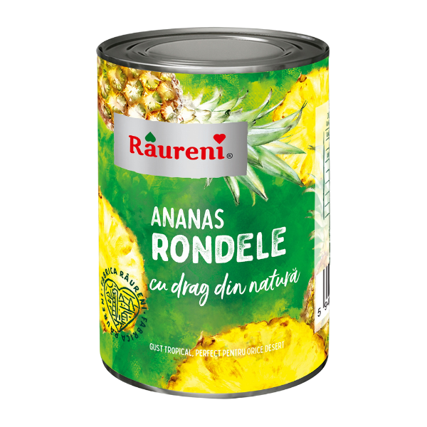 COMPOT ANANAS RONDELE RAURENI 567G