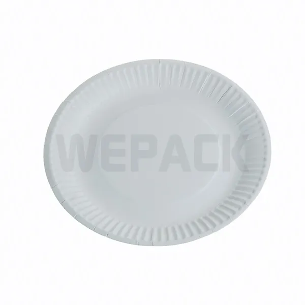 FARFURII CARTON 20/SET 23CM